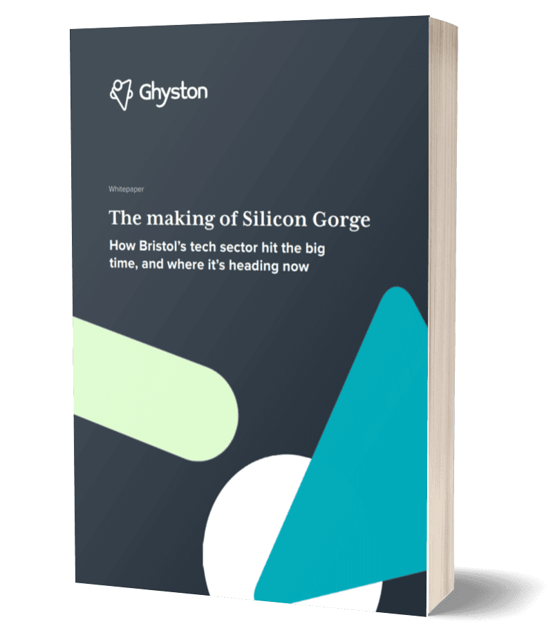 The making of Silicon Gorge